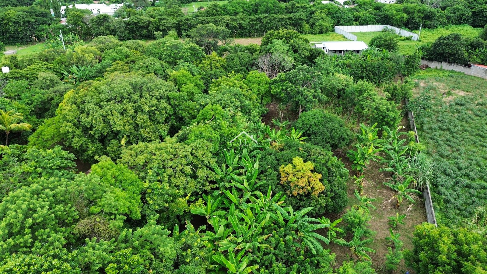 Se Vende Terreno de 16,237 v² en Veracruz