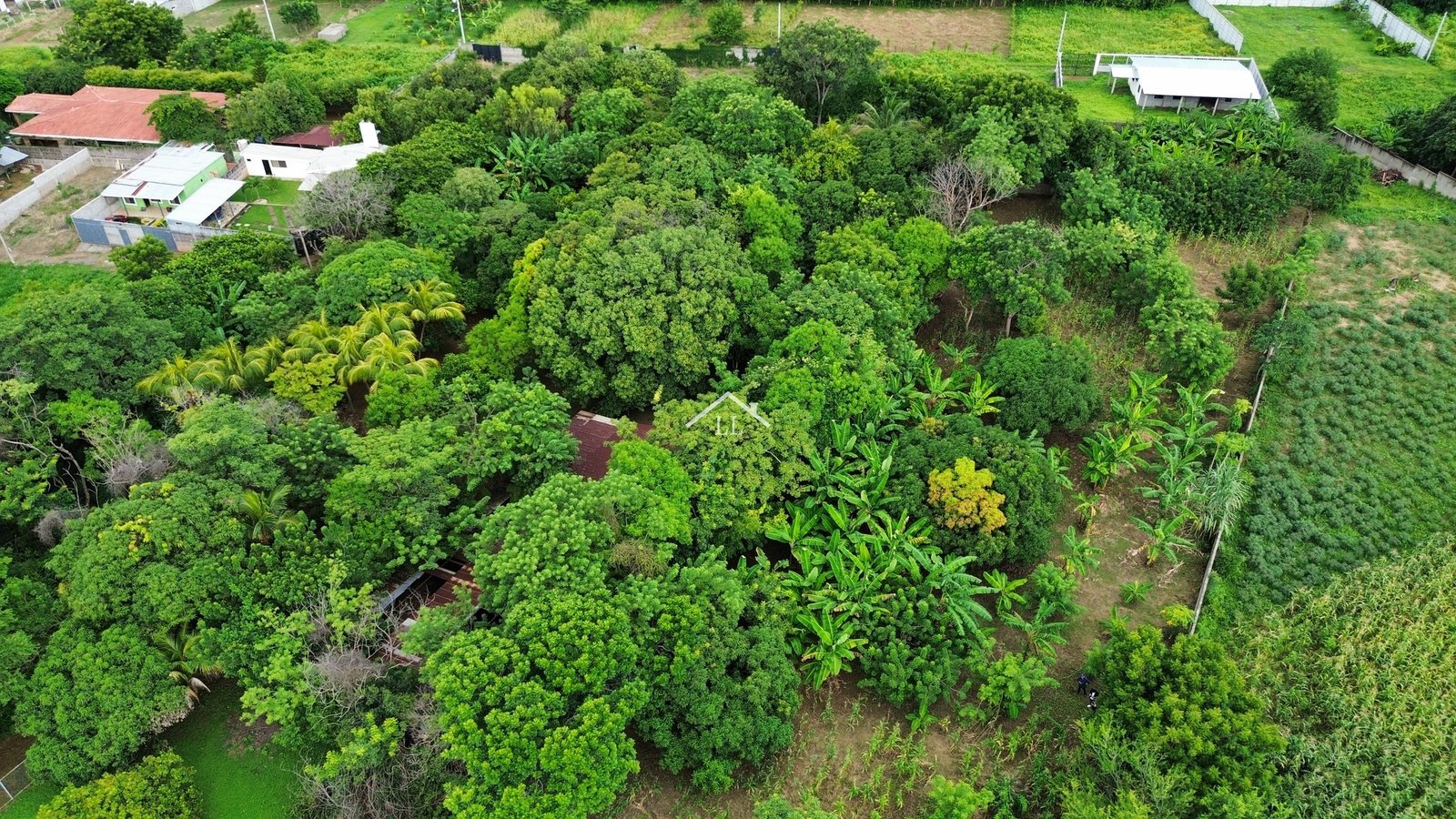 Se Vende Terreno de 16,237 v² en Veracruz