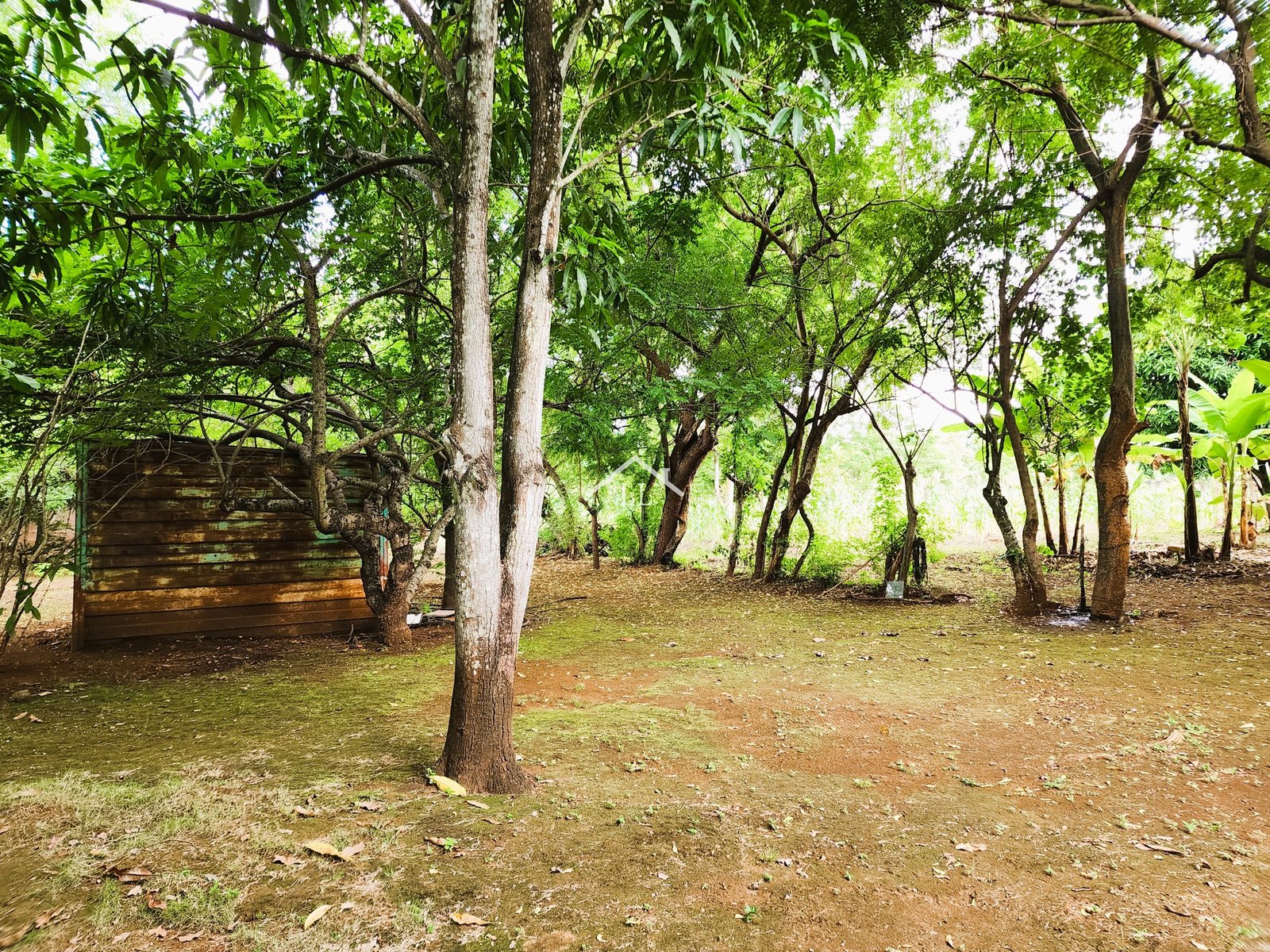 Se Vende Terreno de 16,237 v² en Veracruz
