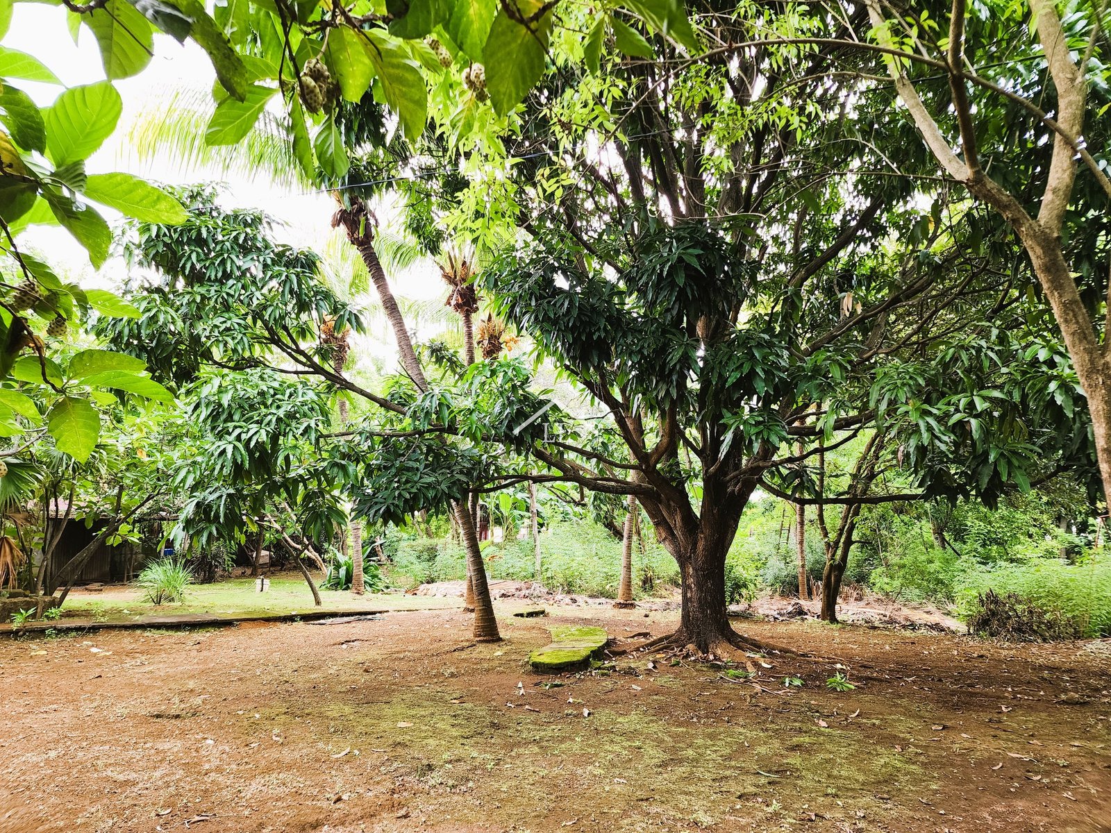 Se Vende Terreno de 16,237 v² en Veracruz