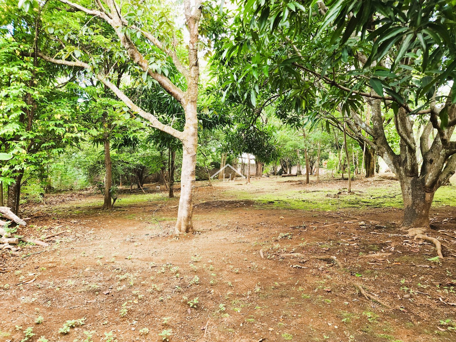 Se Vende Terreno de 16,237 v² en Veracruz