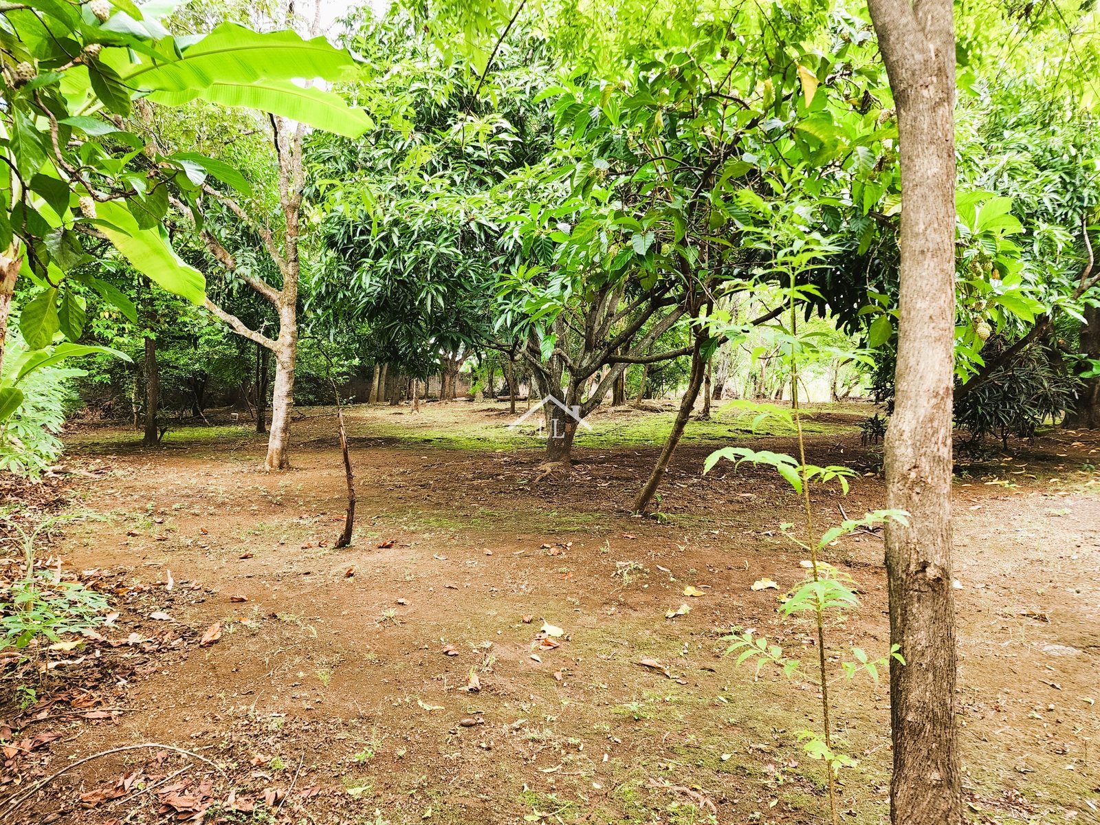 Se Vende Terreno de 16,237 v² en Veracruz
