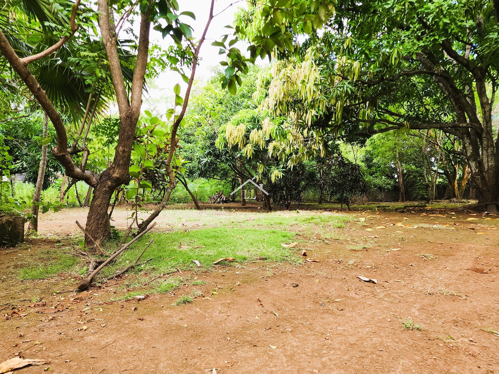 Se Vende Terreno de 16,237 v² en Veracruz