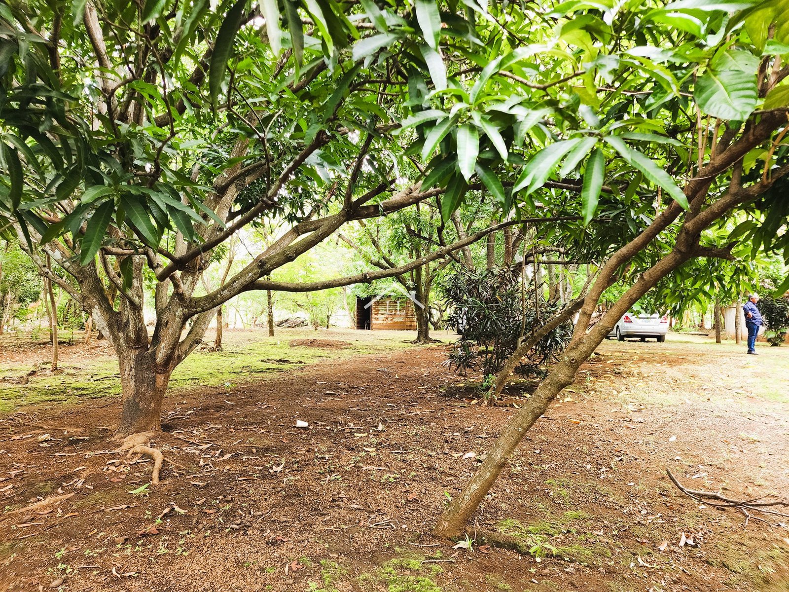 Se Vende Terreno de 16,237 v² en Veracruz