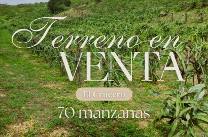 Se Vende Preciosa Finca de 70 Manzanas en el Crucero