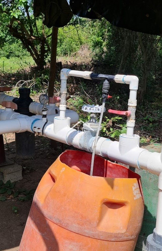 En venta finca de cítricos en Salinas Grandes, León