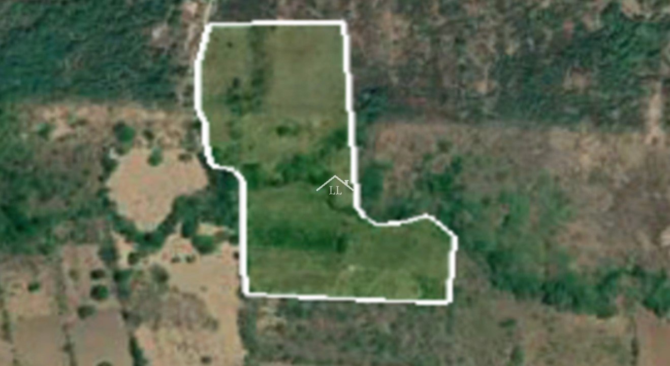 En venta finca de cítricos en Salinas Grandes, León