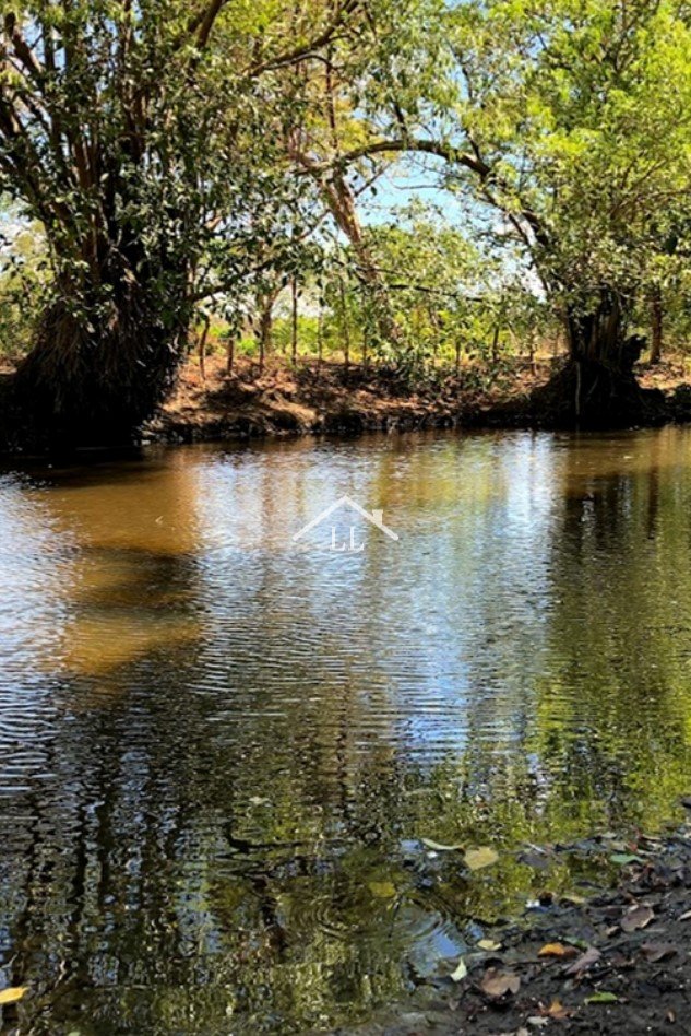 En venta finca de cítricos en Salinas Grandes, León