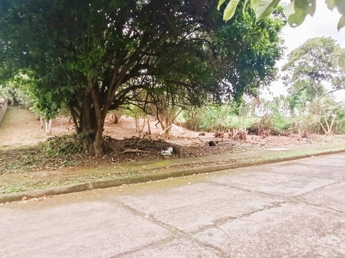Se Vende Terreno en Balcones de Santo Domingo