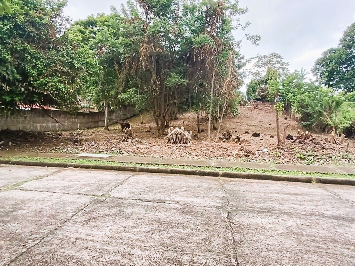 Se Vende Terreno en Balcones de Santo Domingo