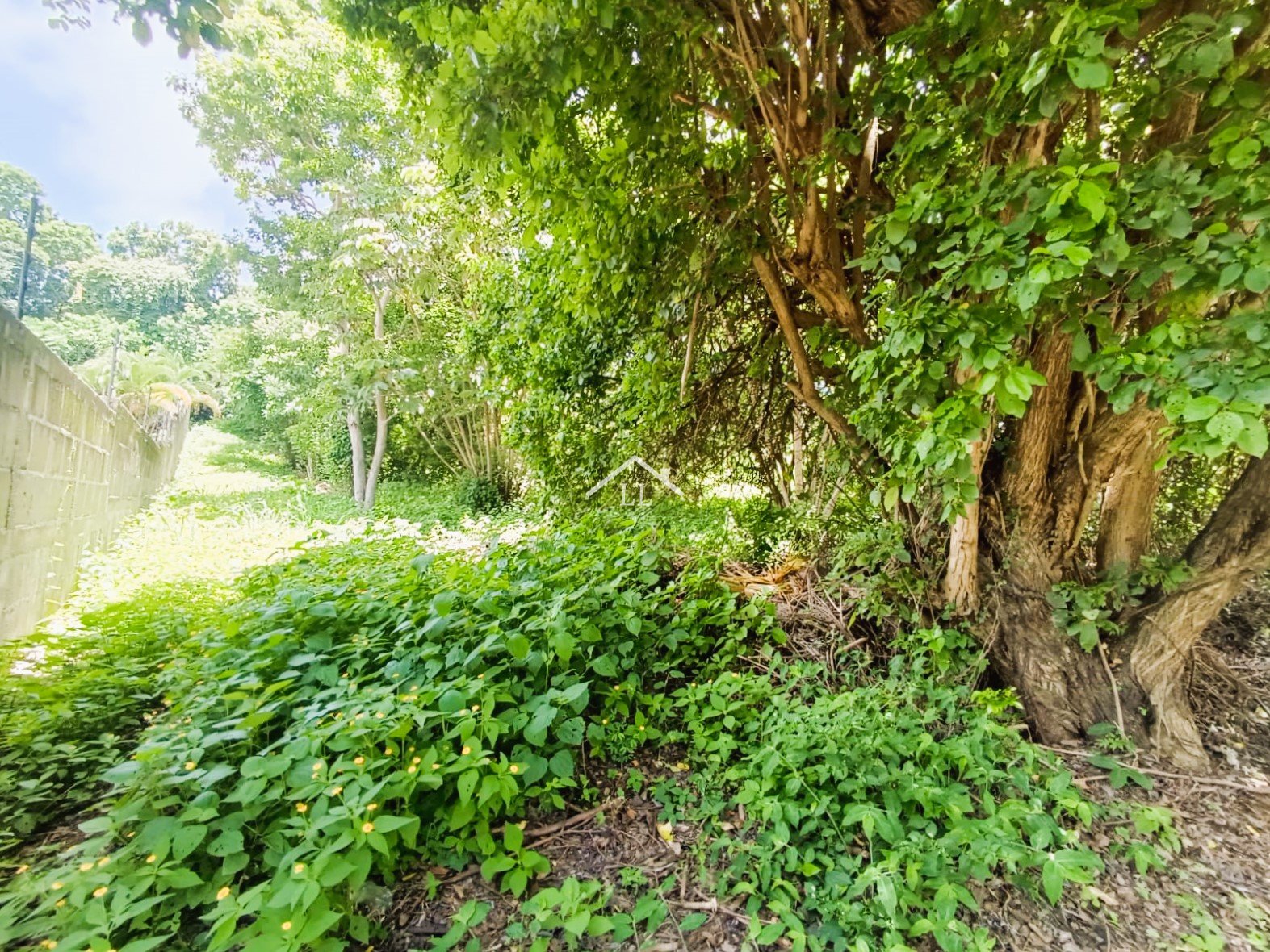 Se Vende Terreno en Balcones de Santo Domingo