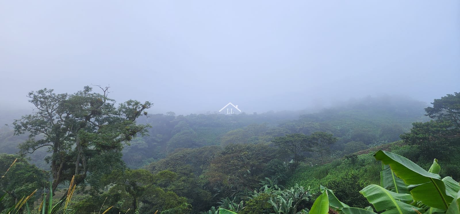 Se Vende Terreno en Las Nubes, El Crucero con un Área del terreno de 5,000 v²