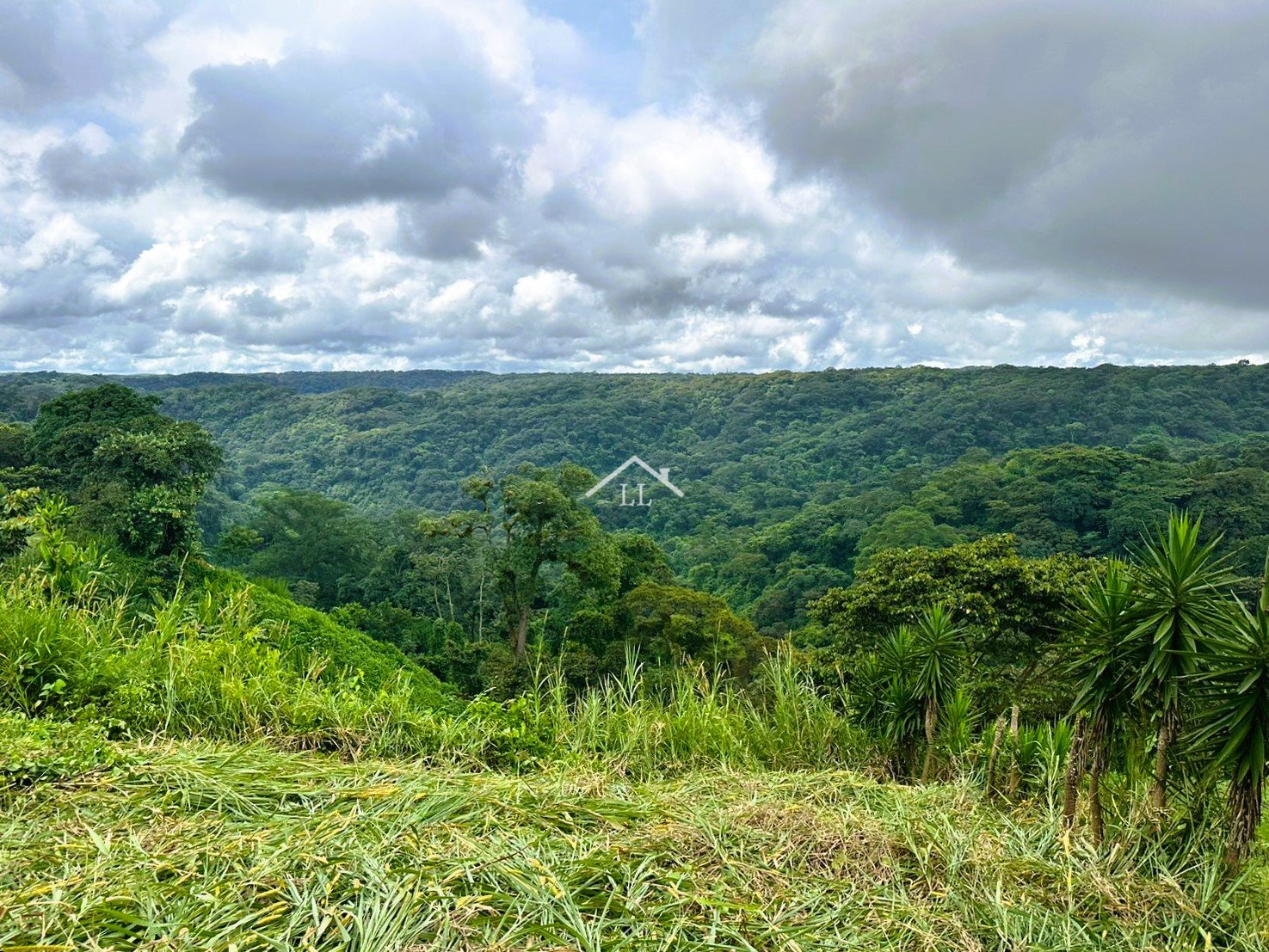 Se Vende Terreno en Las Nubes, El Crucero con un Área del terreno de 5,000 v²