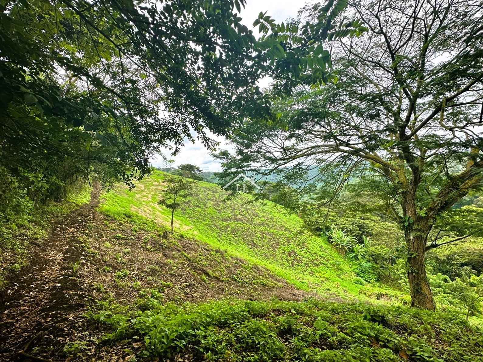 Se Vende Terreno en Las Nubes, El Crucero con un Área del terreno de 5,000 v²