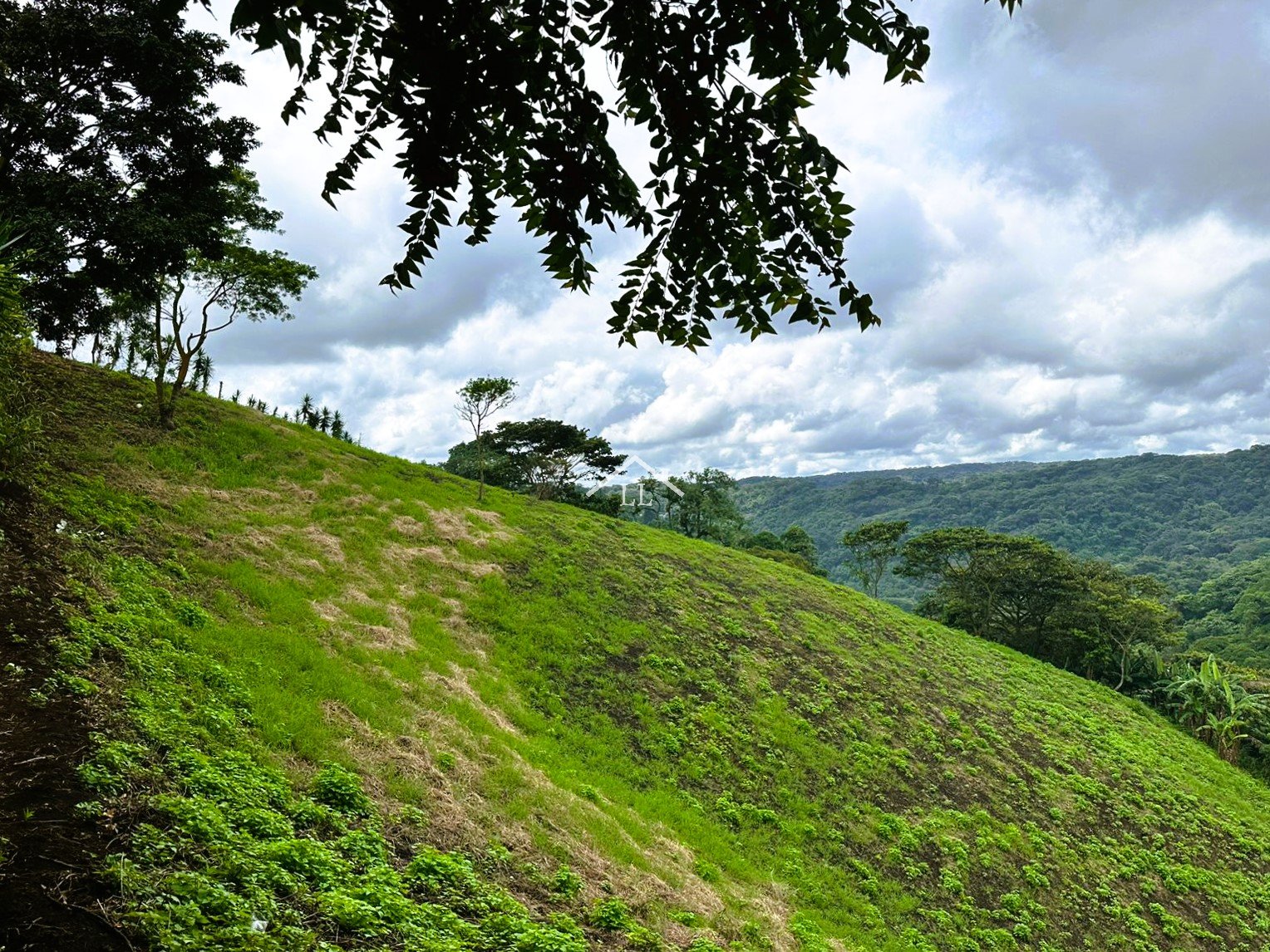 Se Vende Terreno en Las Nubes, El Crucero con un Área del terreno de 5,000 v²