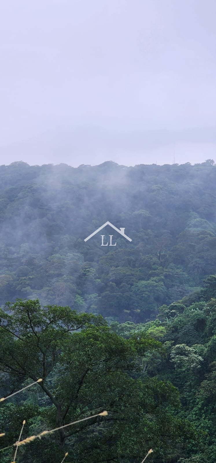 Se Vende Terreno en Las Nubes, El Crucero con un Área del terreno de 5,000 v²