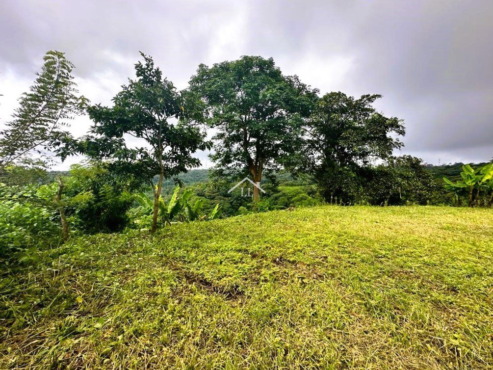 Se Vende Terreno en Las Nubes, El Crucero con un Área del terreno de 5,000 v²