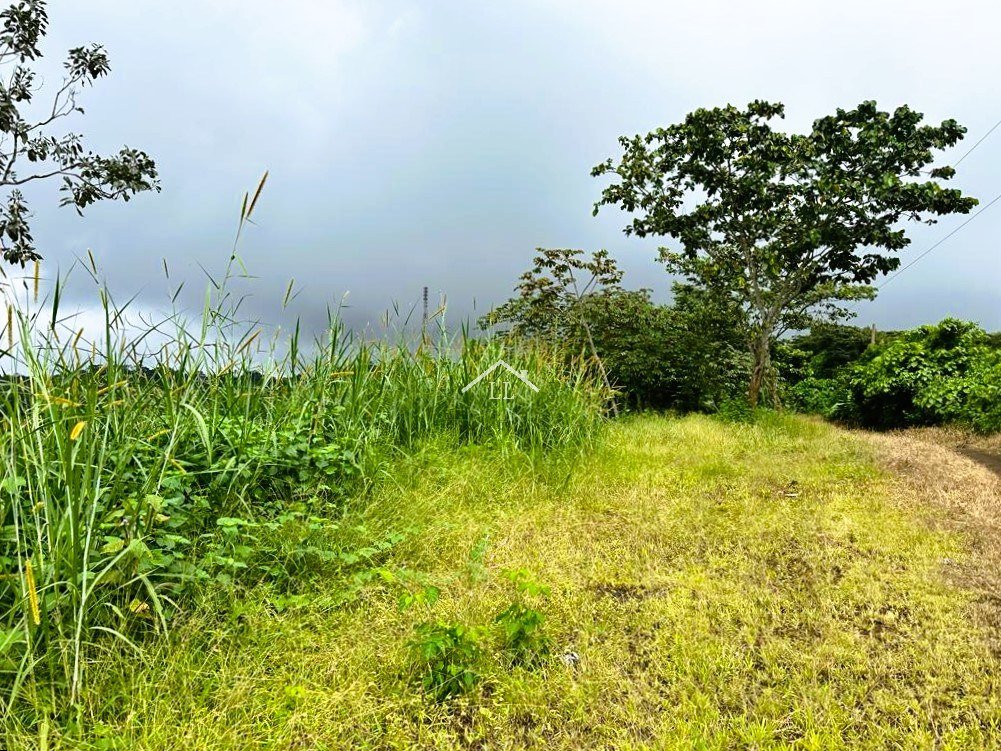 Se Vende Terreno en Las Nubes, El Crucero con un Área del terreno de 5,000 v²