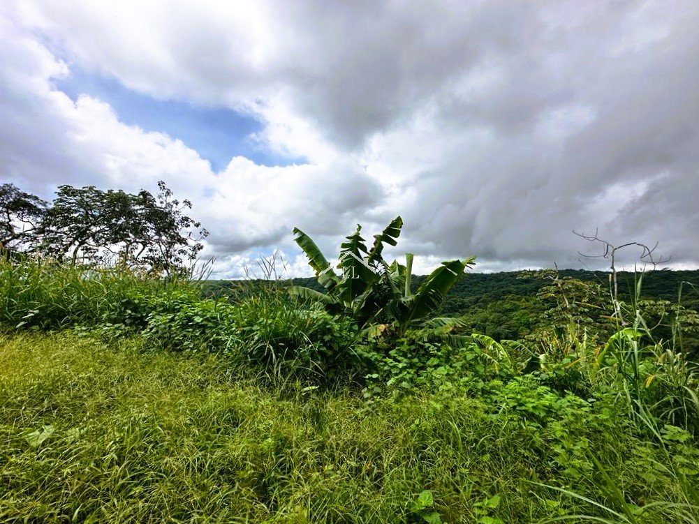Se Vende Terreno en Las Nubes, El Crucero con un Área del terreno de 5,000 v²
