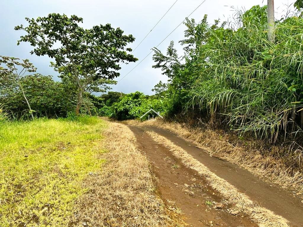 Se Vende Terreno en Las Nubes, El Crucero con un Área del terreno de 5,000 v²
