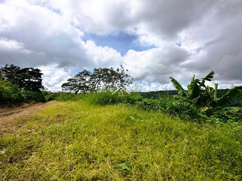 Se Vende Terreno en Las Nubes, El Crucero con un Área del terreno de 5,000 v²